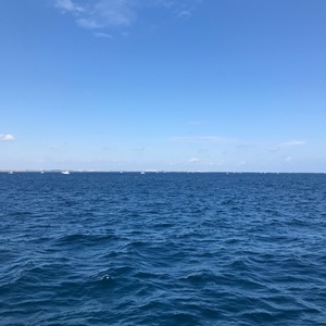 West Palm Beach scuba diving conditions on March 04, 2019