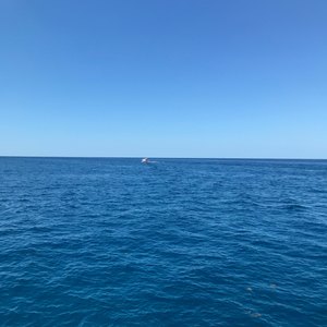 West Palm Beach scuba diving conditions on April 21, 2019