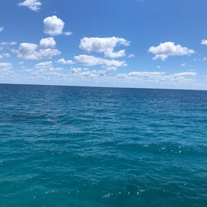 West Palm Beach scuba diving conditions on April 23, 2019