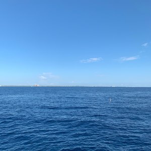 West Palm Beach scuba diving conditions on June 01, 2019