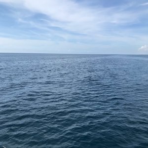 West Palm Beach scuba diving conditions on June 12, 2019