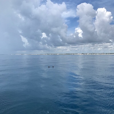 West Palm Beach scuba diving conditions on June 14, 2018