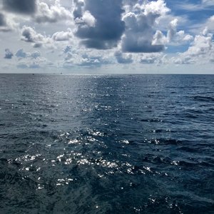 West Palm Beach scuba diving conditions on June 15, 2019