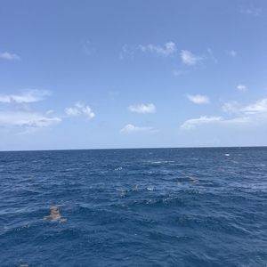 West Palm Beach scuba diving conditions on July 10, 2026