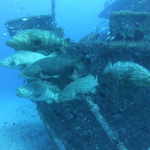 West Palm Beach scuba diving conditions on August 23, 2019