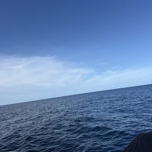 West Palm Beach scuba diving conditions on September 12, 2026