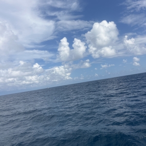 West Palm Beach scuba diving conditions on October 16, 2026