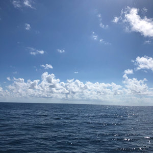 West Palm Beach scuba diving conditions on November 02, 2019