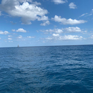 West Palm Beach scuba diving conditions on November 22, 2019