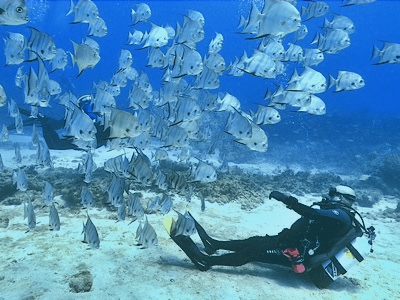Instructor Tony SCUBA Diving with a school of Spadefish